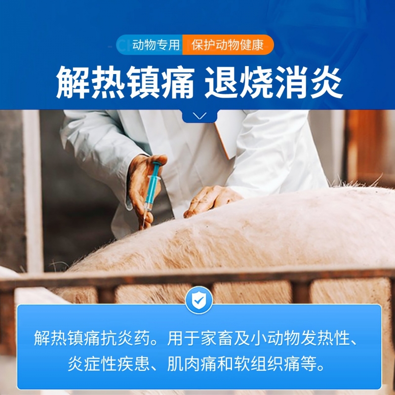 【中龙神力】安痛定注射液解热镇痛 肌肉关节疼痛 抗炎 用于发热性疾病 10ml*10支 国标可追溯