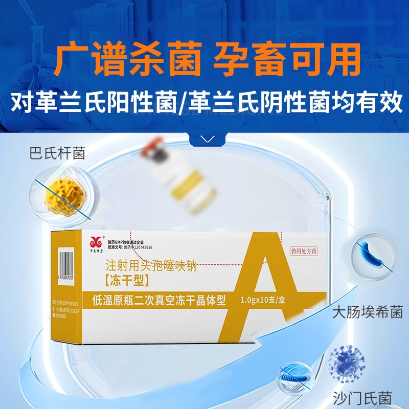 【中龙神力】冻干粉 注射用头孢噻呋钠 1g*10支/盒 抗菌消炎 母猪产后消炎 细菌性感染