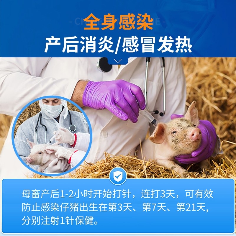 【中龙神力】冻干粉 注射用头孢噻呋钠 1g*10支/盒 抗菌消炎 母猪产后消炎 细菌性感染