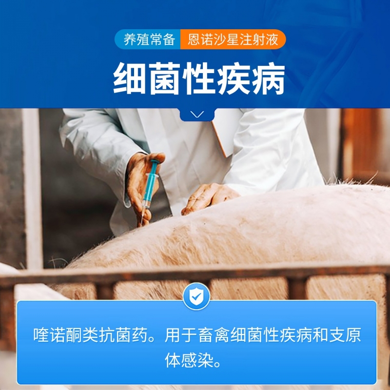 【中龙神力】10%恩诺沙星注射液 肠炎腹泻 仔猪黄白痢支原体感染 呼吸道病针剂