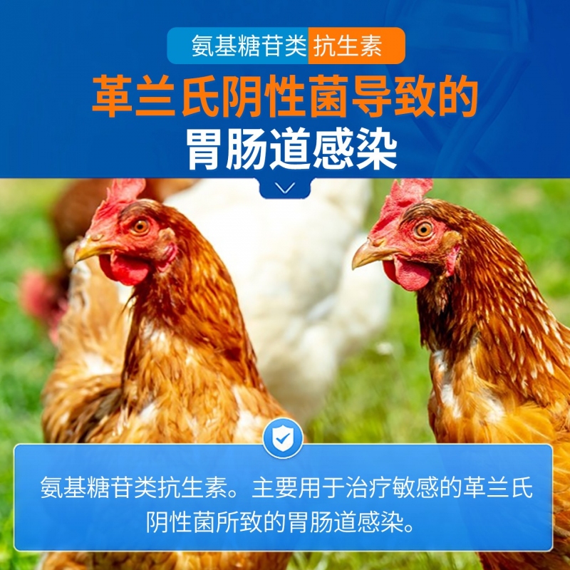 【中龙神力】20%硫酸新霉素可溶性粉  用于腹泻、拉稀、黄白痢等