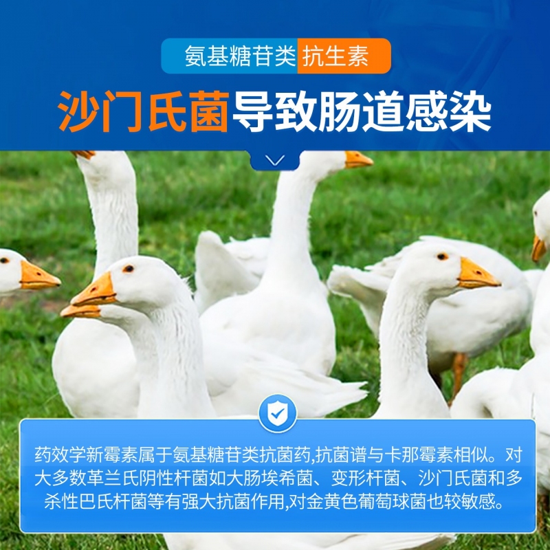 【中龙神力】20%硫酸新霉素可溶性粉  用于腹泻、拉稀、黄白痢等