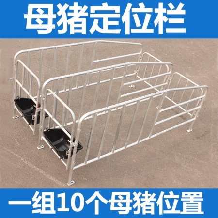 【乐淘农牧】母猪定位栏 限位栏（2-5天发货）