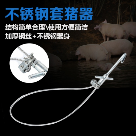 【乐淘农牧】不锈钢套猪器  保定器