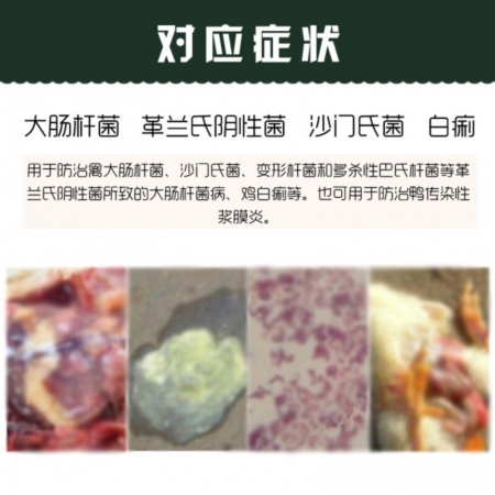 【普旺生物】硫酸新霉素可溶性粉 500g/袋 大肠杆菌 猪黄白痢 沙门氏菌 肠炎