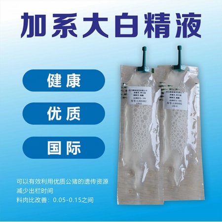 【铁骑力士】新加系大白公猪精液（改良级）