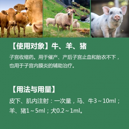 【中龙神力】缩宫素注射液猪用催产针母猪用产后止血难产兽药  1ml×10支/盒
