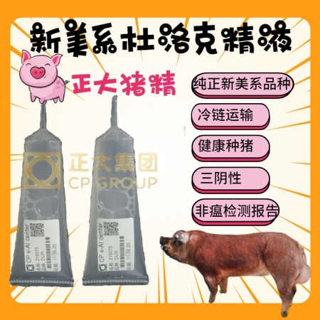 【正大】新美系杜洛克种猪精液商品级（普通）50毫升