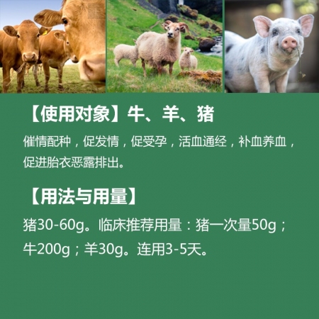 【中龙神力】催情多胎灵 针对母猪不发情 久不受孕 催情散 催情250g/包，拌料 