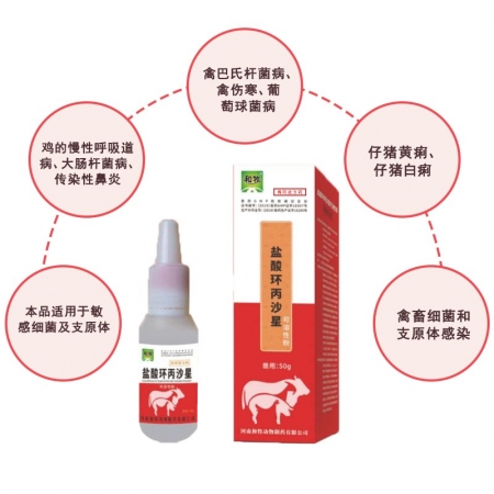 【和牧制藥】鹽酸環丙沙星可溶性粉 豬黃白痢大腸桿菌消炎治療腹瀉拉稀腸道感染藥