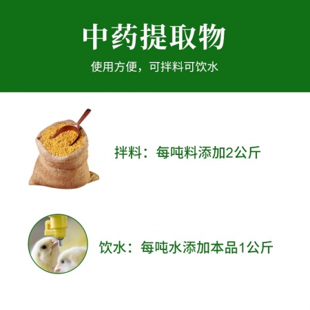 赛为中兽药桔百颗粒1000g清肺止咳化痰平喘防治猪反复顽固性咳嗽喘气