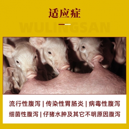  【赛为】五苓散5送1（6袋）猪病毒流行性腹泻传染性胃肠炎拉稀止痢散白头翁仔猪黄白痢断奶腹泻 