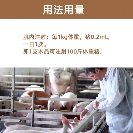 【中龙神力】硫酸安普霉素注射液 兽用猪牛羊拉稀腹泻黄白痢疾 10ml×10支/盒