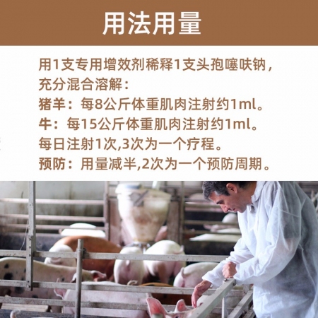 【中龙神力】牛羊痘疮腐蹄猪口蹄炎症 控制继发感染 头孢送稀释液  