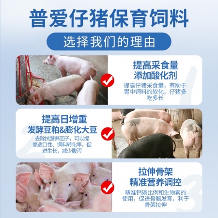 【普吉保育40】普爱40%乳猪前期浓缩饲料 40斤/袋  保育料 浓缩料 乳猪料 