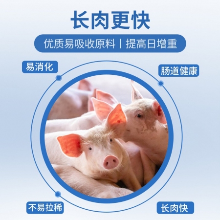 【普爱693】13%生长猪后期浓缩饲料 65斤/袋 育肥料猪饲料助生长 猪场用
