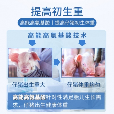 【普爱6686】8%妊娠母猪预混料猪饲料 怀孕母猪料 妊娠料