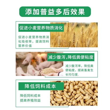 【普益多】用小麦替代玉米豆粕猪饲料添加剂节约成本浓缩料预混料
