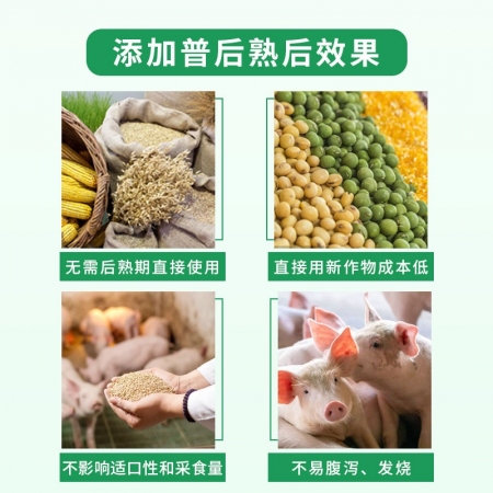 【普后熟】500g*10袋 使用新收谷物降低饲料成本猪饲料添加剂浓缩料预混料