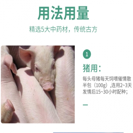 【西默农】催情散200g 主治母猪不发情 催情促孕 消炎排卵 中药催情 