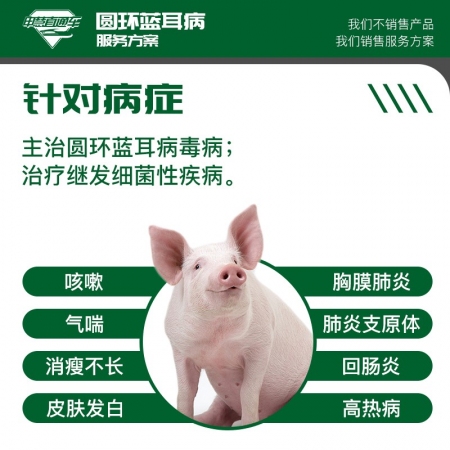 【申慧直通车】圆环蓝耳病套装 升级款2kg（泰万4袋，氟苯3袋，非诸安1袋，多维1袋，鱼肝油1）
