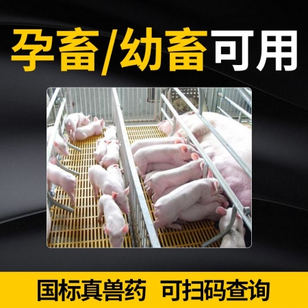 【施比龙】比龙弓链康复方磺胺间甲氧嘧啶预混剂100g/袋*100袋敏感菌呼吸道消化道感染