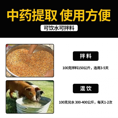 【施比龙】 板青颗粒 500g*20 清热解毒 圆环病毒 病毒腹泻 增强免疫力