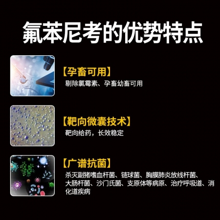【施比龙】10%氟苯尼考粉1000g猪肺疫副猪嗜血杆菌传染性胸膜肺炎肠炎腹泻呼吸道肠道