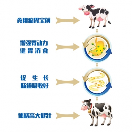 【迅销】四效瘤胃宝开胃促生长得快催肥增重攻肥宝养殖猪牛羊饲料添加剂