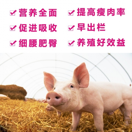 【上海澳斯菲德】4%大猪预混料育肥猪大猪料 采食高 改善肉色肉质生长快瘦肉多早出栏上海工厂直发.
