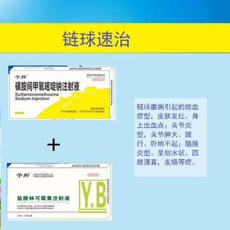 【予邦】链球速治套餐（盐酸林可霉素注射液+磺胺间甲氧嘧啶钠注射液）链球菌副猪嗜血...