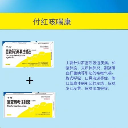 【咳喘康】套餐 氟苯尼考注射液+盐酸多西环素注射液 呼吸道综合症等 引起咳嗽 气...