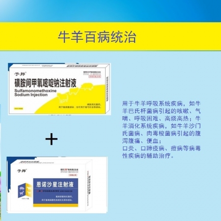 【予邦】猪用百病组合套装（恩诺沙星注射液+磺胺间甲氧嘧啶钠注射液）兽用兽药 混合...
