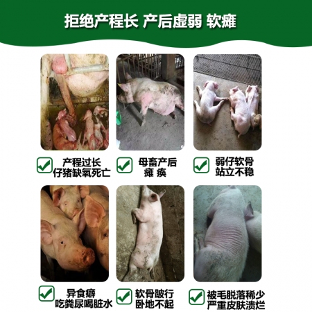 【双冀动保】超能多维钙600ml速补钙母猪产前产后瘫痪无力缩短产程仔猪四肢无力软瘫厌食异食癖咬尾打斗