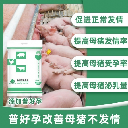 【普好孕】500g/40袋/1箱 母猪催情促孕 增强免疫力 补充维生素提高泌乳量