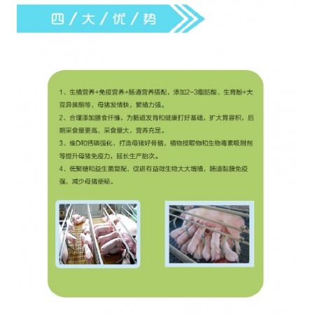    【新喜程】备宝10M 10%后备母猪预混合饲料 (后备母猪料)