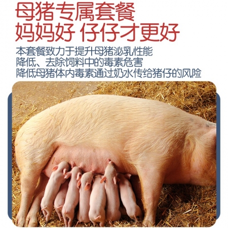 【安琪酵母】母猪3+1催乳防毒套餐