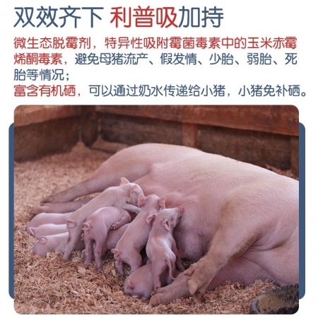 【安琪酵母】母猪3+1催乳防毒套餐