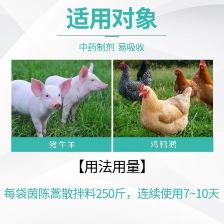 【绿健兽药】茵陈蒿散500g 猪用解毒养肝 黄疸型肝病毒症状 退热凉血 抗原虫血虫 提高免疫 增免