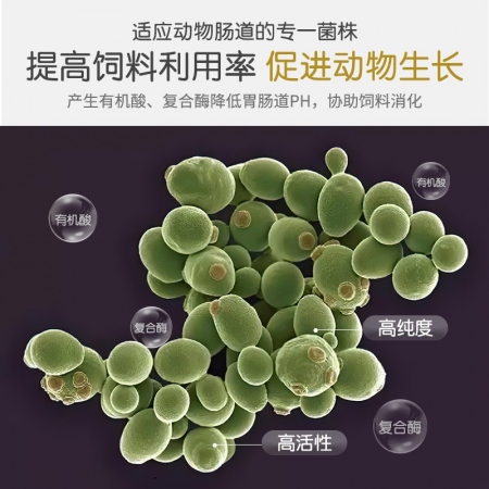 【安琪酵母】微生态酵母活菌 整箱购 20包/箱  促消化防腹泻便秘降氨氮 活菌数>200亿/克   