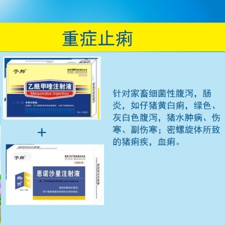 【予邦】重症止痢套餐（乙酰甲喹注射液+恩诺沙星注射液）-兽用兽药 仔猪黄白痢，血...