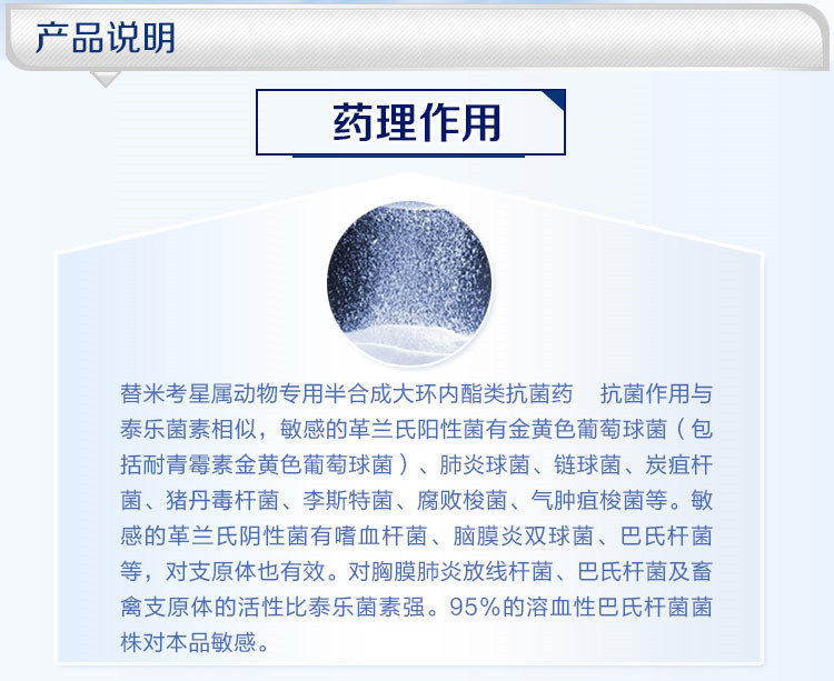 20180208142729576440.jpg 2(373)_副本.jpg