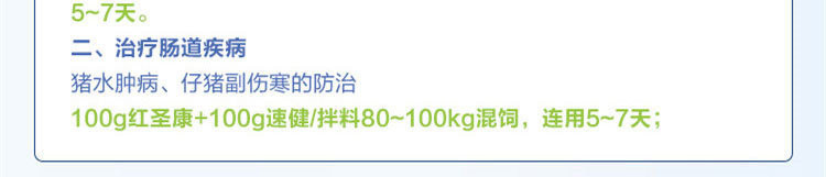 20180208144541427369.jpg 紅圣康 (2)_副本.jpg