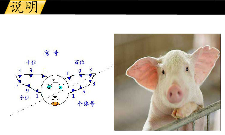佰牧兴畜牧耳缺钳v型u型快递包邮偏远地区除外
