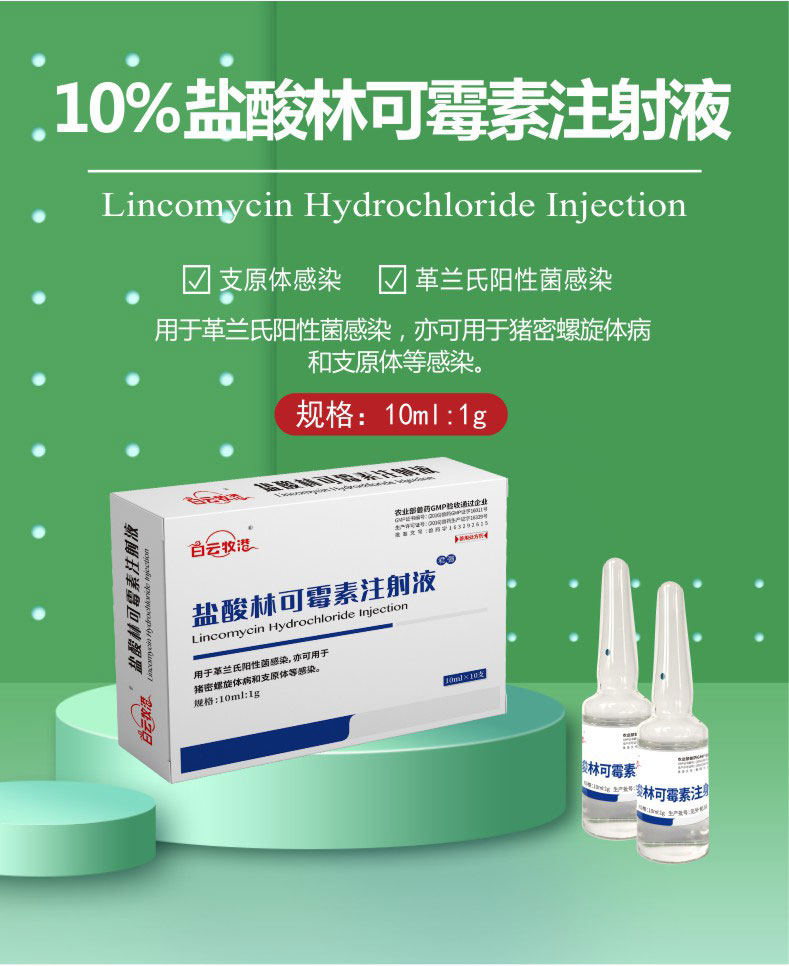 白云牧港盐酸林可霉素注射液兽用猪用猪药咳喘猪牛羊气喘肺兽药