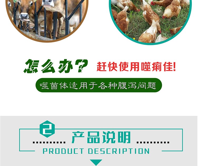 29094233482399.jpg 噬痢佳2.jpg