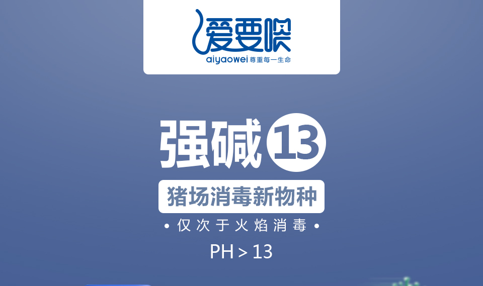 【爱要喂】强碱13,ph>13碱性消毒剂消毒水液,带猪消毒,环境消毒,车辆