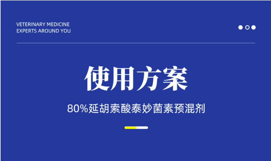 12170528873031.png image.png