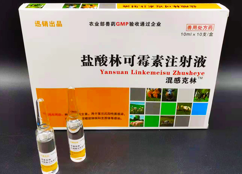 迅销盐酸林可霉素注射液兽药兽用猪牛羊产后康气喘产后消炎不食母猪