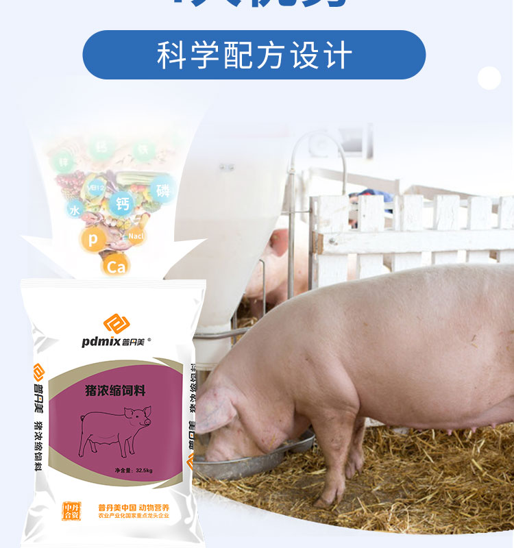 斗门浓缩饲料怎么选?从配方到价格,一篇讲透浓缩料的门道